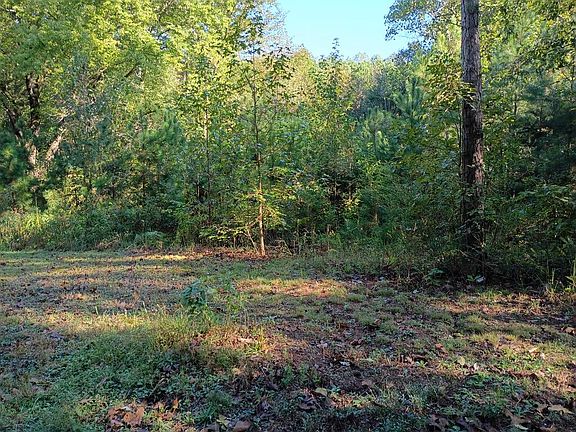 3rd image of 780 Maple Grove Church Rd