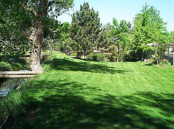 Back Yard Bordering Open Space