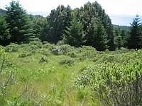 34 Woodchuck Ct photo 1