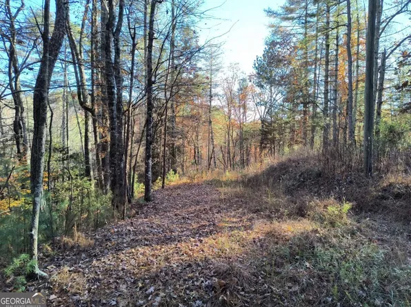 LOT 627 Novel Ct, Ellijay, GA 30540
