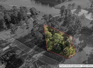 31 Woodstork Ct, Waverly, GA 31565