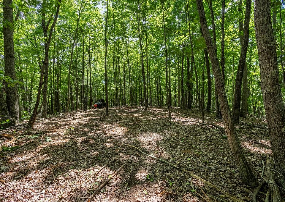 1st image of Pack Mountain Rd