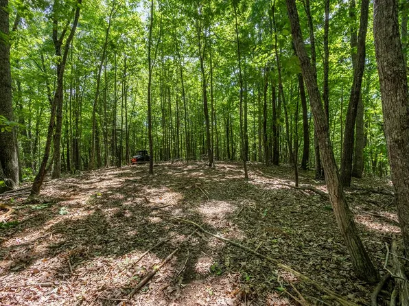 Pack Mountain Rd, Murphy, NC 28906