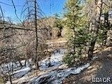 4th image of 0 Mountain Home Creek Rd