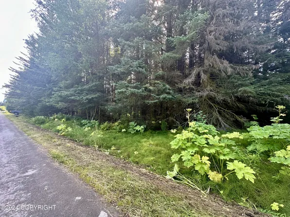 545 Noview Ave, Homer, AK 99603