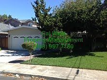 2nd image of 345 Burnett Ave