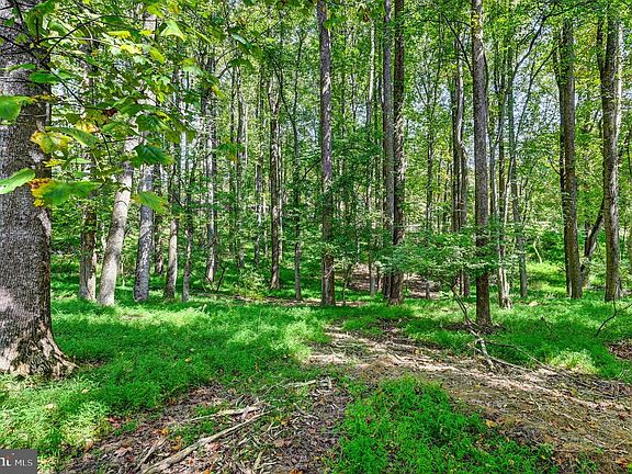 4th image of 14498 Western Rd