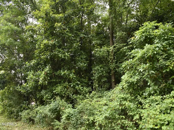 Lot 41 N Graham Street, Wallace, NC 28466