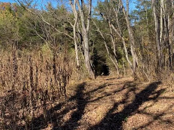 5 W Lee Hwy, Wytheville, VA 24382