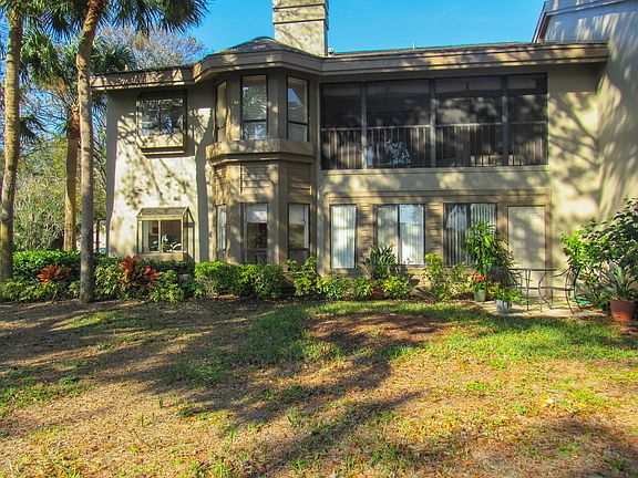 back yard / patio