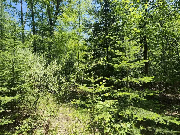0 Rose Cir, Lupton, MI 48635