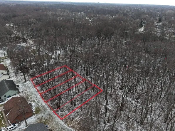 Mapleview Ave, Sheffield Lake, OH 44054