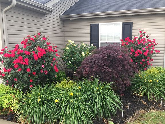 4th image of 109 Bairdscorner Ct