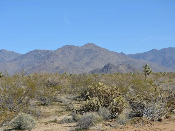 LOT 12 Fox Dr, Yucca, AZ 86438