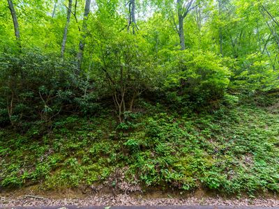 LOT 10 Zurich Rd, Gatlinburg, TN, 37738