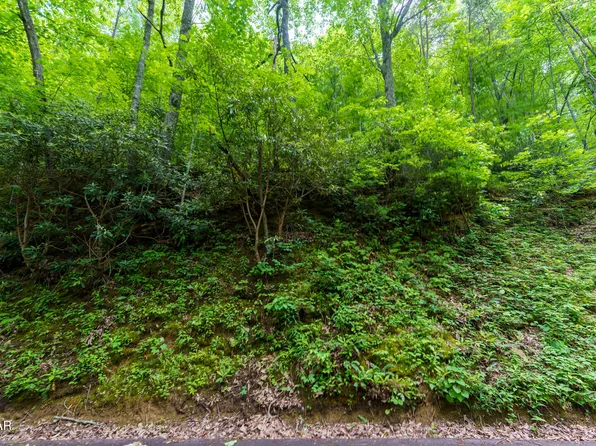 LOT 10 Zurich Rd, Gatlinburg, TN 37738