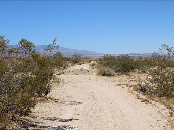 4th image of Joshua Tree Rd