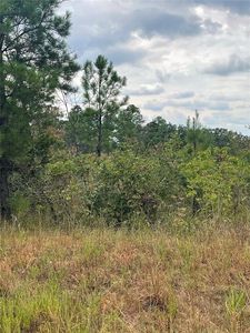 Horned Owl Rd, Valliant, OK, 74764