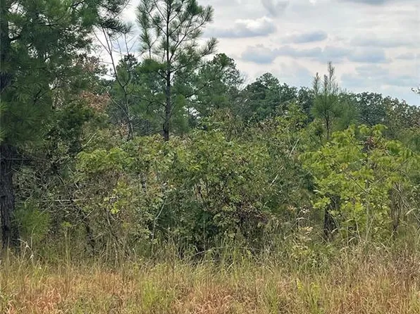 Horned Owl Rd, Valliant, OK 74764