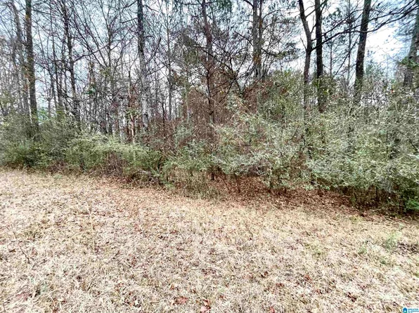 0 Highway 231 #0, Cropwell, AL 35054