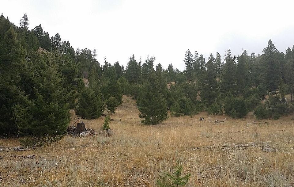 LOT 104 Elk Point Rd, Helmville, MT 59843 Zillow