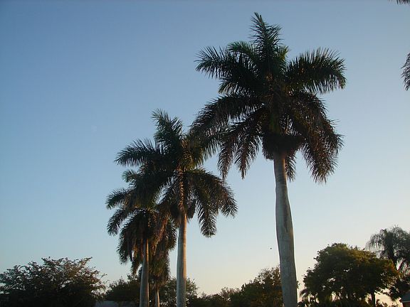 2nd image of 2731 Citrus Lake Dr #G-201