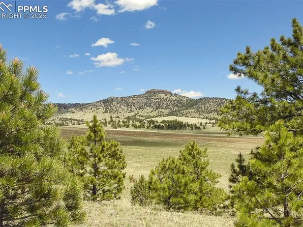 129 Eagle Nest Trail, Guffey, CO 80820