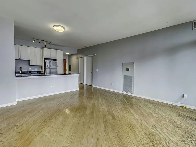 435 W Erie St #1105 — Photo 2