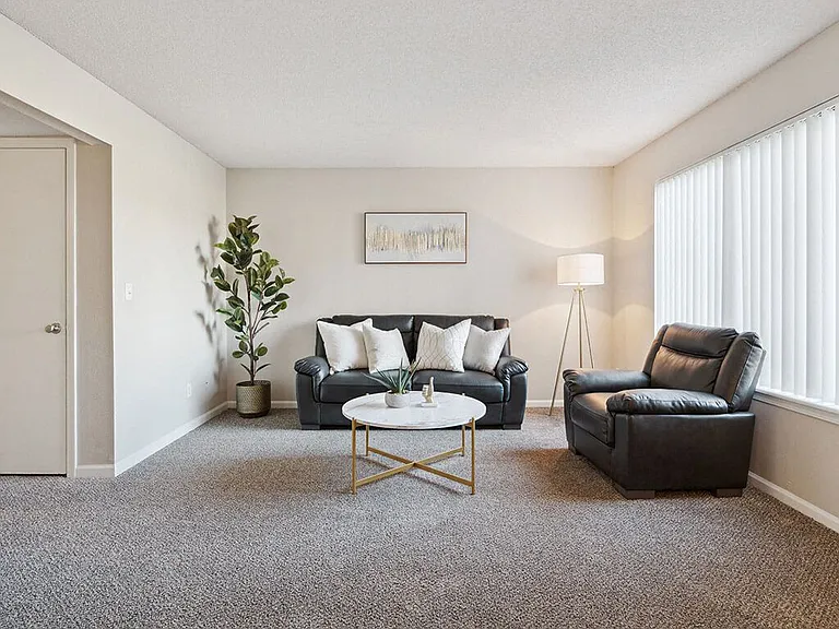 Cozy, Plush Carpeting Throughout the Apartment