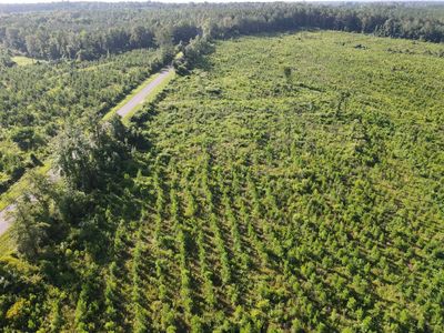 County Road 4, Evergreen, AL, 36401