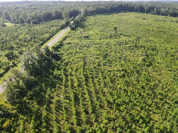 County Road 4, Evergreen, AL 36401