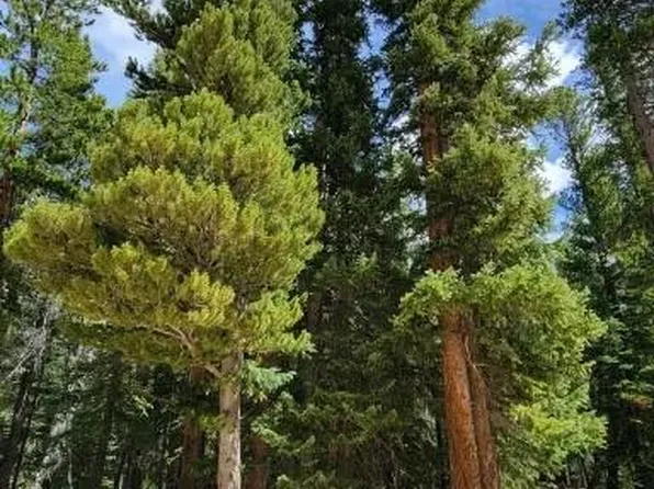 Valley Of The Sun Drive, Fairplay, CO 80440