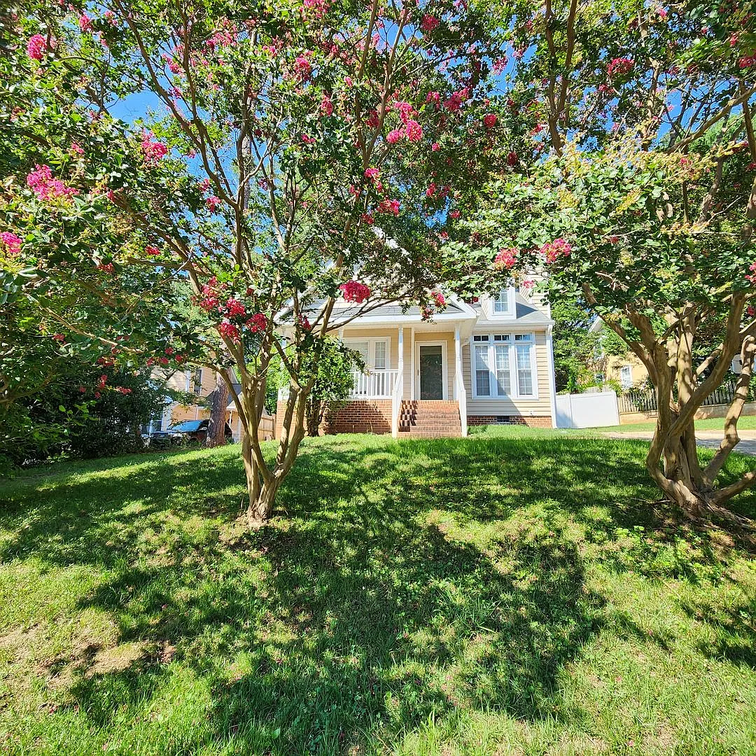 Ranch style home for rent Wake Forest — Photo 1