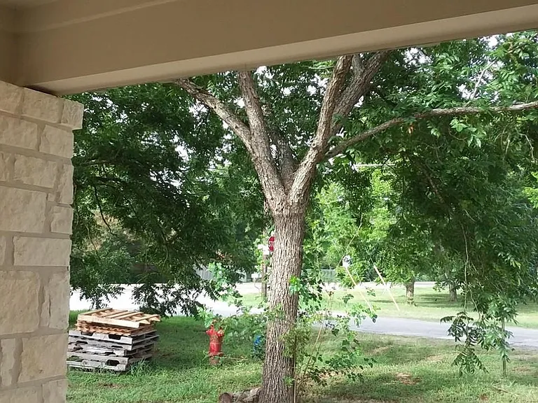 260 Mill Rd #A — Photo 10