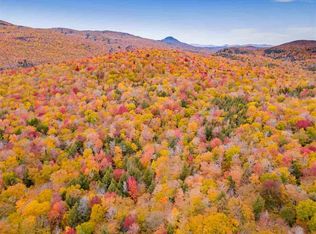 4000 Hardwood Flats Rd, Lake Elmore, VT 05657