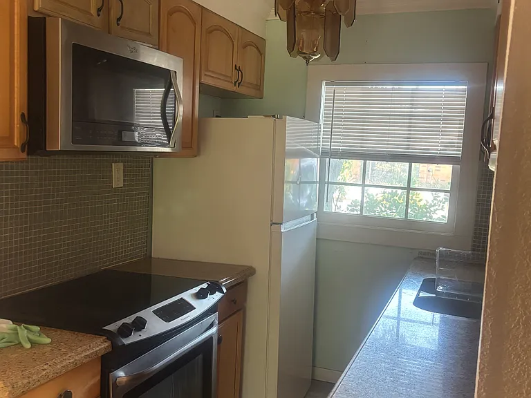 1009 Lotus Path — Photo 3