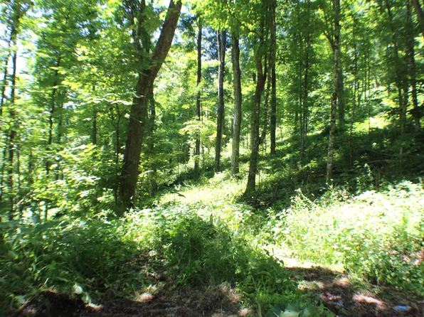 John Wymer Rd, Hillsboro, WV 24946