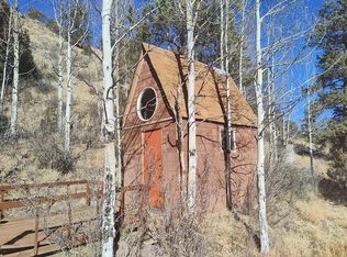 899 Meadow Ln, Guffey, CO 80820