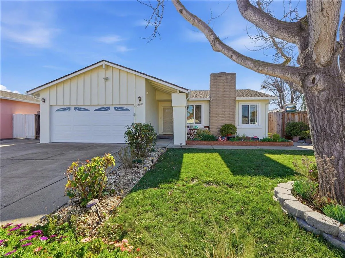 34803 Hollyhock St photo 1