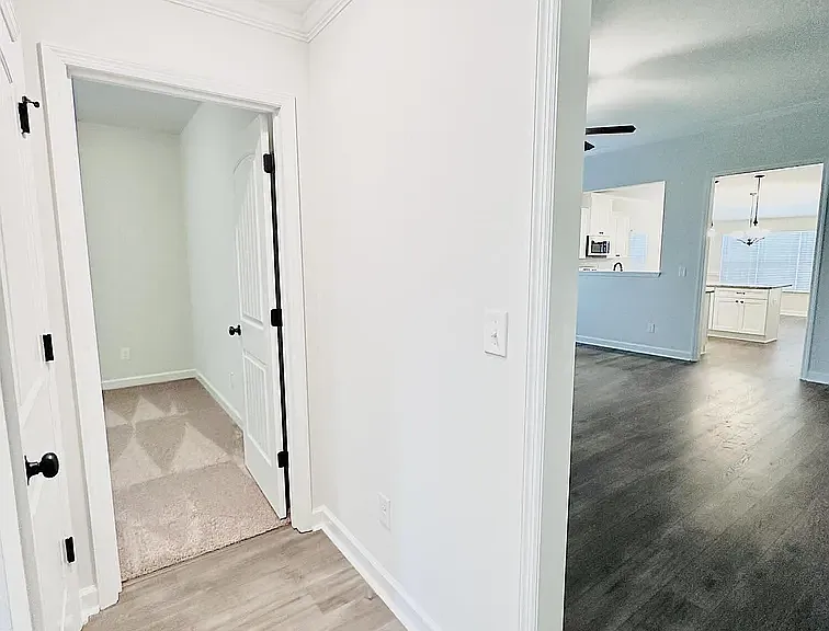 3620 Finley Ct — Photo 6