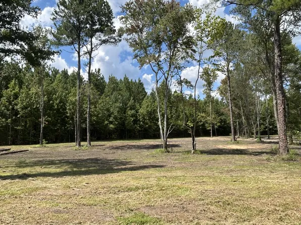 644 Case Rd, Slocomb, AL 36375