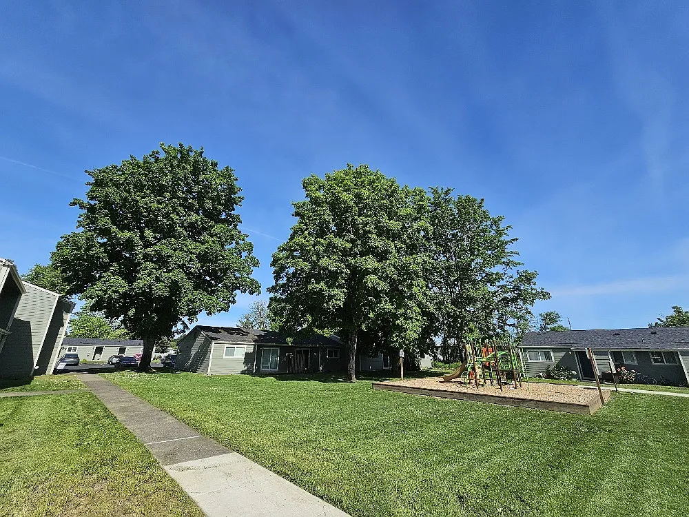 Park Manor — Photo 3