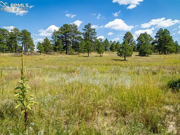 16759 Winsome Way, Colorado Springs, CO 80908