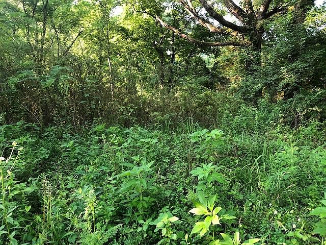 2nd image of Rock Haven Rd