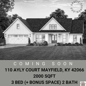 110 Ayly Ct, Mayfield, KY, 42066
