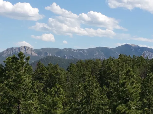 12491 S Tall Pine Rd, Hill City, SD 57745