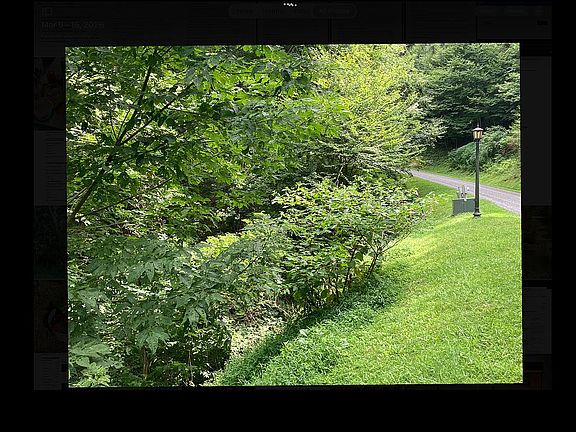 4th image of 80 Goldenleaf Rd #80