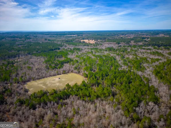 7271 Will Lee Rd, Nicholls, GA 31554