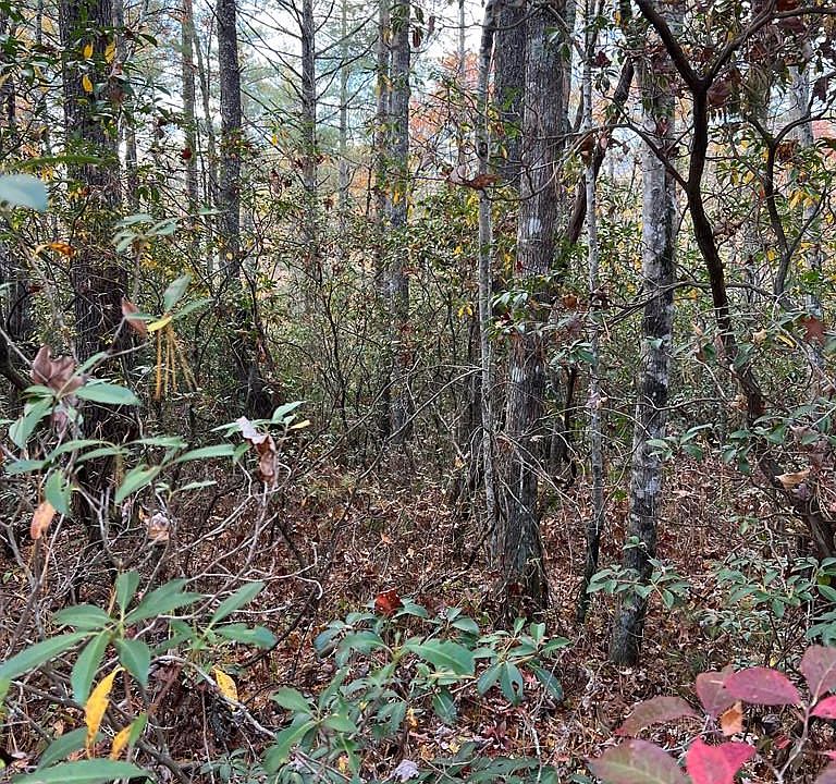 2nd image of lot 71 Big Pine Road