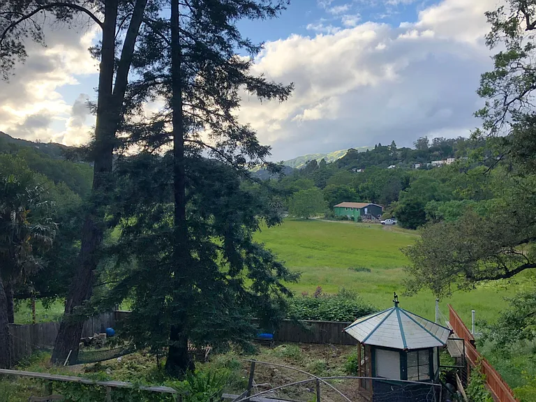back yard
